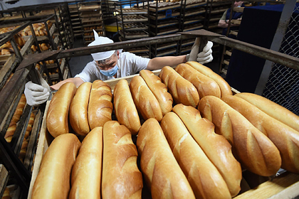 Российский врач назвал альтернативу хлебу Россия