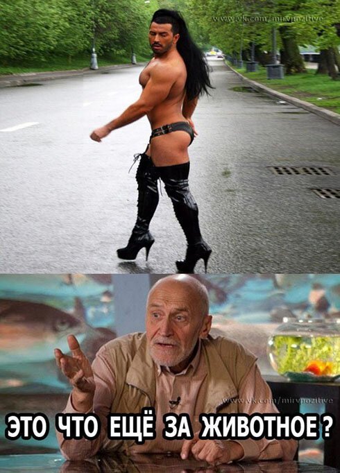 - Я где-то слышала, что Wi-Fi особенно вреден для женщин. - Конечно, вреден! Полы не помыты, жратва не готова, а всё потому что Wi-Fi! приколы