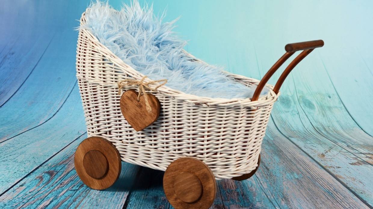 Ученый Шимановский: через десять лет роботы смогут присматривать за детьми