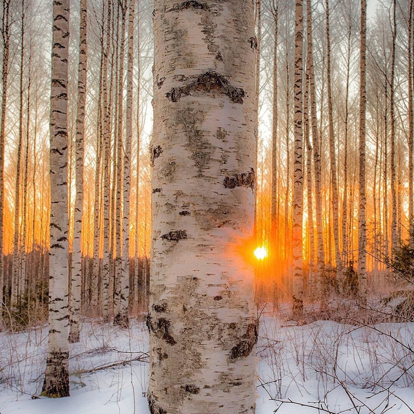 Классные и прикольные фотографии для улыбки приколы,смешные картинки,смешные комментарии,фото приколы