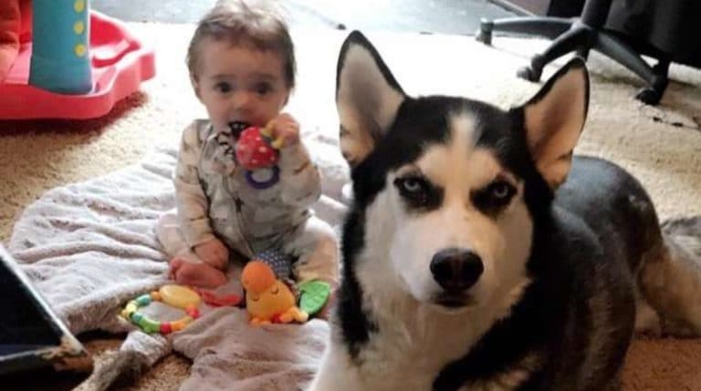 BeFunky-collage (38)