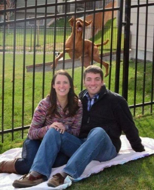 26 фотографий, на которых задний план гораздо смешнее переднего 26 фотографий, на которых задний план гораздо смешнее переднего