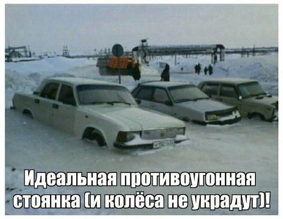 Забавности и различный юмор для чудесного настроения