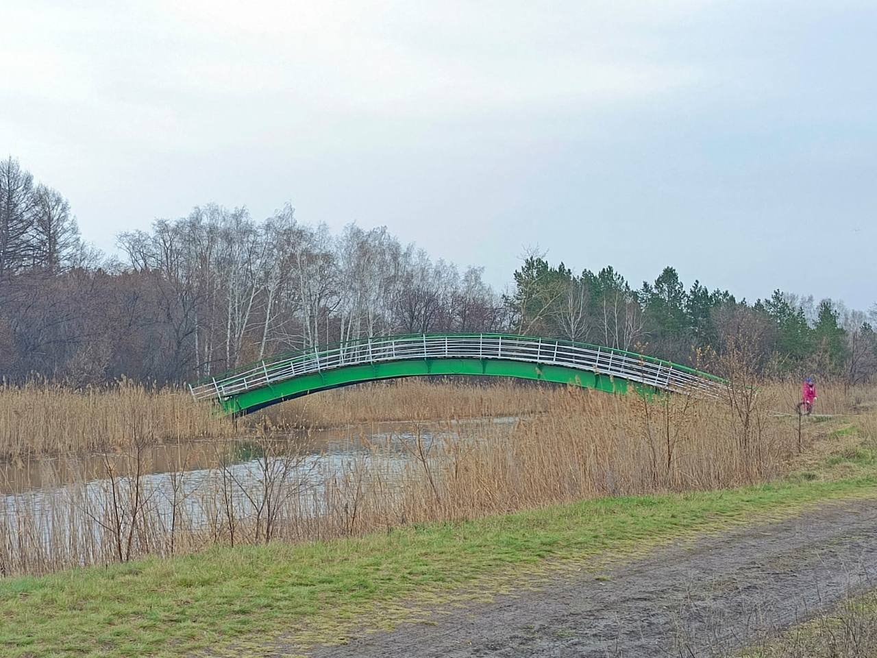 Деревянный мостик в парке Победы выкрасили в ярко-зеленый цвет