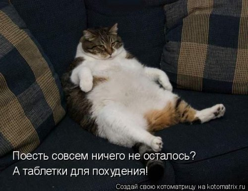 Лучшая котоматрица недели Лучшая котоматрица недели позитив,смешные картинки,юмор