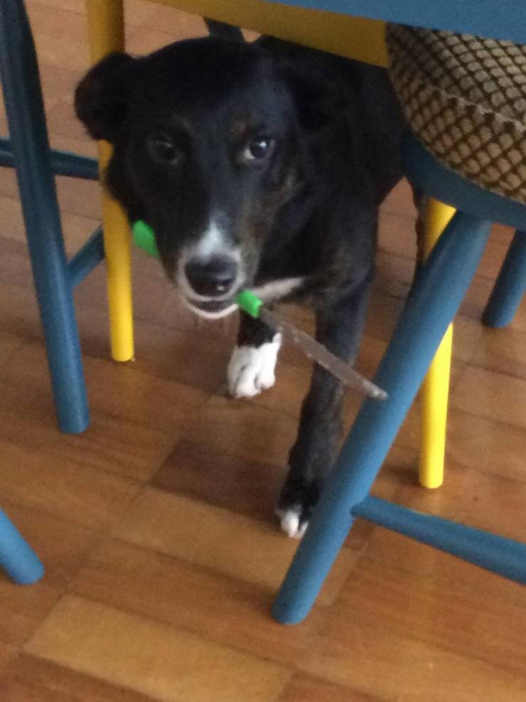 Подборка смешных картинок Подборка смешных картинок приколы,смешные картинки,юмор