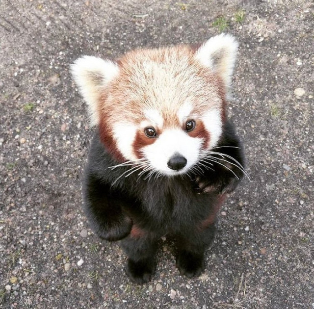 Субботний Фотопозитив 