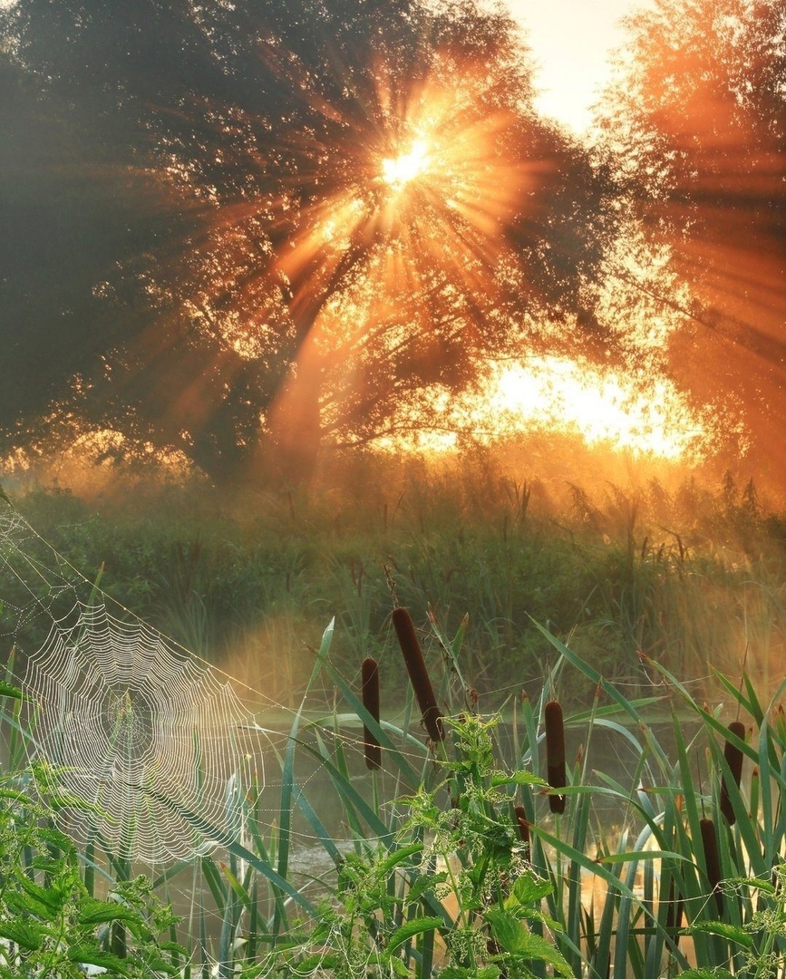 Молодожены в 1962 году похвастались комнатой в коммуналке – сейчас же их «гнездышко» многие посчитают бедным Молодожены в 1962 году похвастались комнатой в коммуналке – сейчас же их «гнездышко» многие посчитают бедным