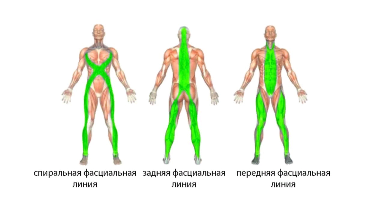 Долголетие, красота и молодость с 4 упражнениями по-японски. Популярная гимнастика макко-хо или гимнастика гейш можно, маккохо, упражнение, гимнастику, гимнастики, гимнастика, вперед, которые, самой, гимнастике, упражнения, делать, выдохе, упражнений, поднимаемся, время, чтобы, вдохе, очень, корпус