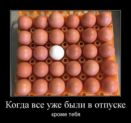 Новые демотиваторы-приколы Новые демотиваторы-приколы