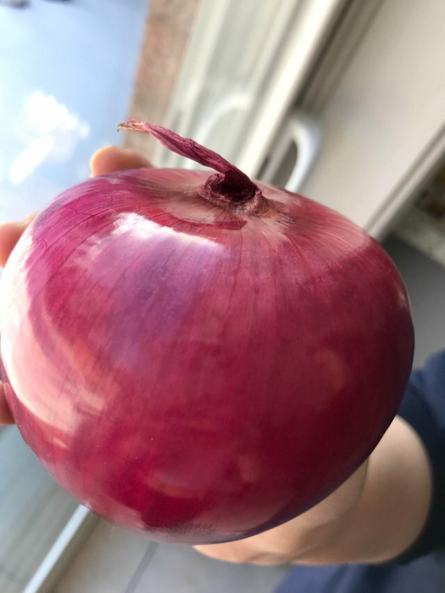 24 кадра, на которых всё настолько идеально, что даже не верится Отдых