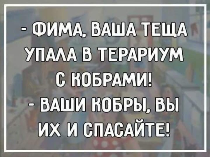 Кактус — это не что иное, как хорошо вооруженный огурец анекдоты,демотиваторы,приколы,юмор