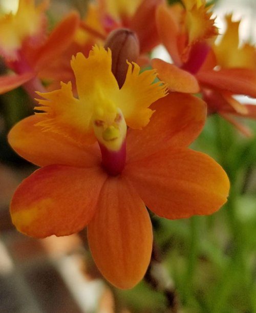 Забавные фотоиллюзии