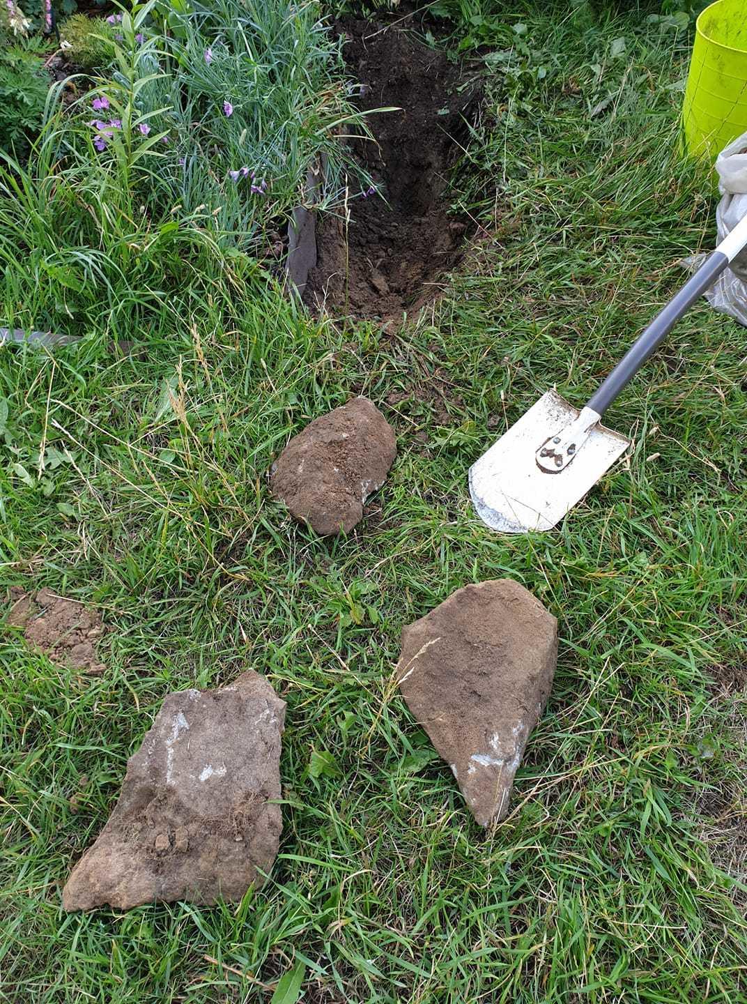 Цветник в городском дворе – советы практика Цветник в городском дворе – советы практика двор,ландшафтный дизайн,цветник