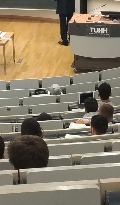 Забавные фотоиллюзии Забавные фотоиллюзии