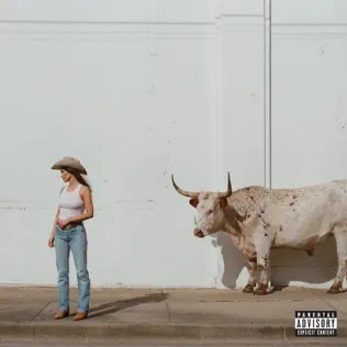 Кейси Масгрейвз портрет