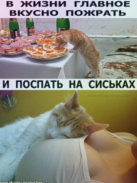 Подборка клевых картинок Подборка клевых картинок