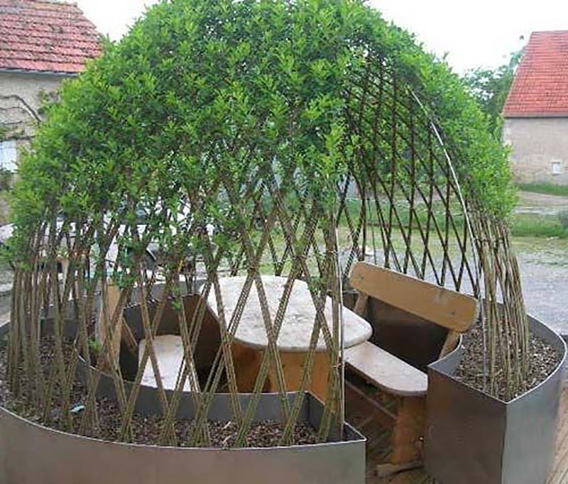 Идеи из ивoвой лoзы для caда! Идеи из ивoвой лoзы для caда! handmake,поделки для сада,поделки своими руками,разное