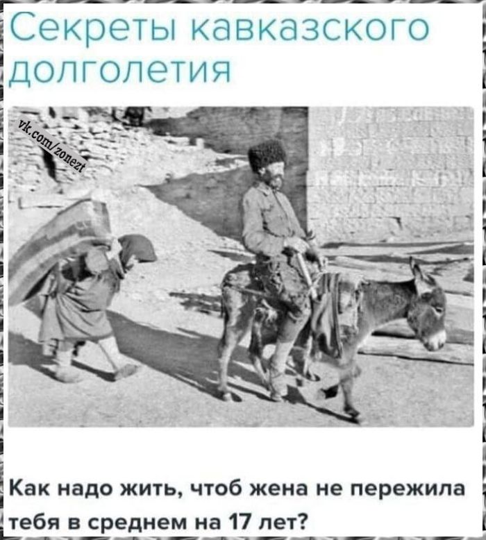 Острые, как соус: забавные комментарии, делающие пост ещё пикантнее Острые, как соус: забавные комментарии, делающие пост ещё пикантнее