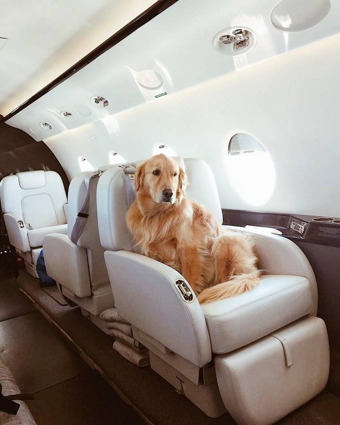 instagram-photoshoot-grounded-private-jet-studio-moscow-36