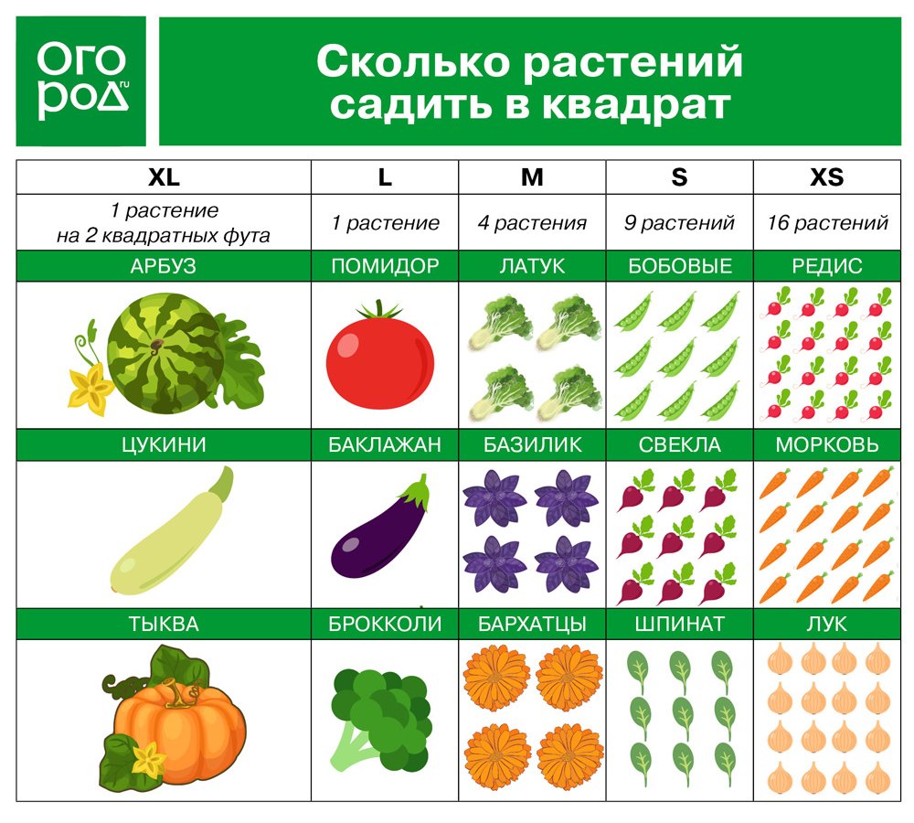 "Умные" грядки от Мэла Бартоломью – идеальное решение для маленького участка дача,сад и огород,умные грядки