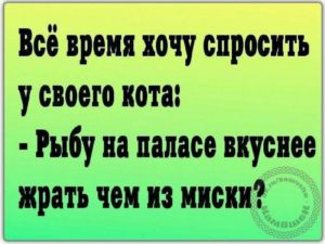 17 чётких анекдотов в картинках для отличного настроения 