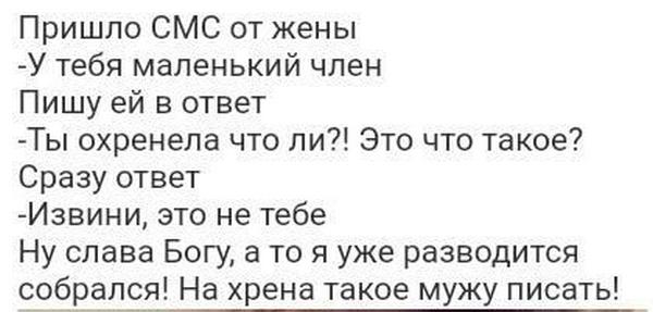 Большинство мужчин похожи на псов. На вид грозные, любят рычать... весёлые