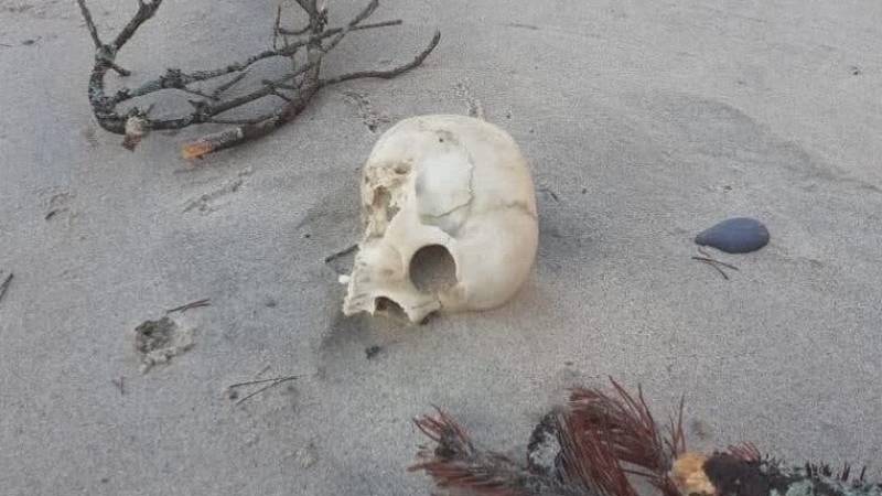 Человеческий череп найден на пляже Куршской косы