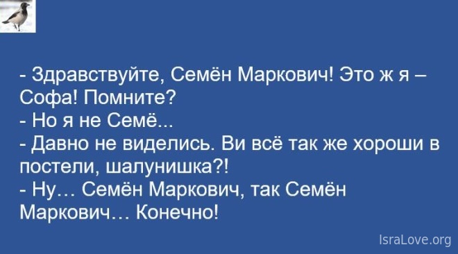 Хочу уже оливье и бухать шампанское! анекдоты