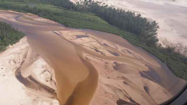 Песчаные дюны в канадской тайге (http://www/loverme.ru)