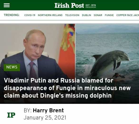 В Ирландии обвинили Путина во "вмешательстве" в жизнь местных дельфинов