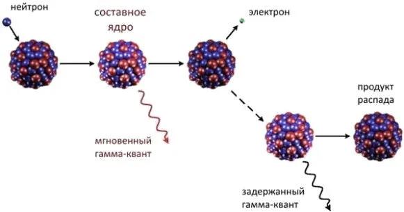 Америций-242. Для разнообразия ядерной войны