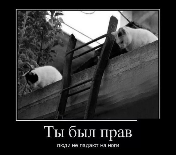 ÐšÐ¸Ñ-ÐºÐ¸Ñ- ÑŽÐ¼Ð¾Ñ€