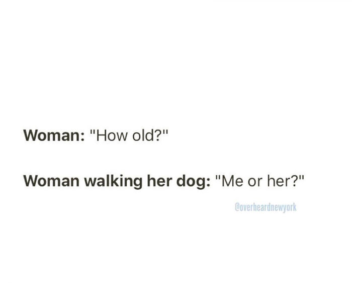 Overheard Ny