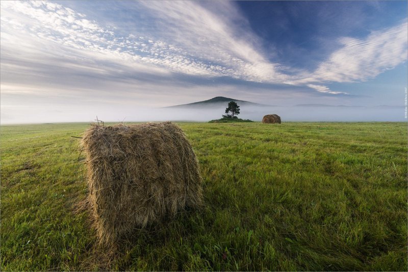 Красота (и пустота) русских полей аграрная культура, поле, россия, сельская местность, эстетика