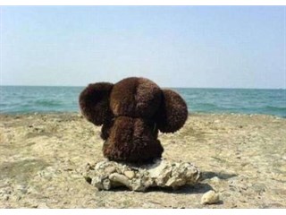 Власть и оппозиция: полная деградация в Грузии, Украине и Белоруссии