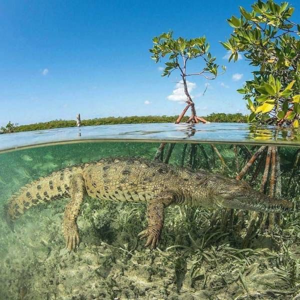 Утренние фотографии для позитива и хорошего настроения 