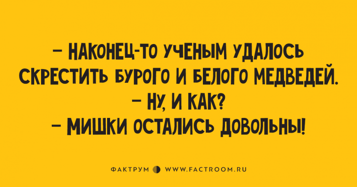 Весьма занятные анекдоты, которые читаются на одном дыхании