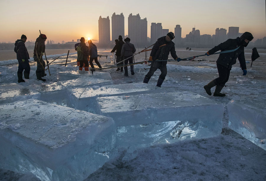 Фоторепортаж с  Харбинского фестиваля льда и снега 2019 года Дальние дали