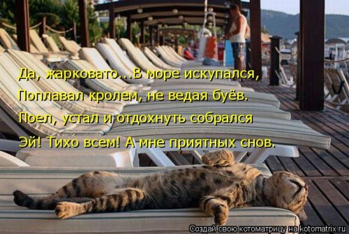 Лучшая котоматрица недели Лучшая котоматрица недели позитив,смешные картинки,юмор