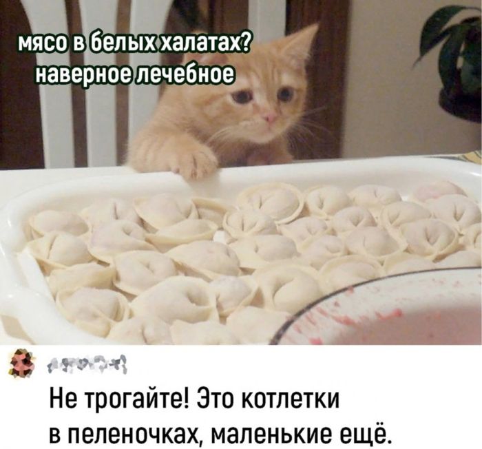 Интернет мемы в воскресение и фото кухни 