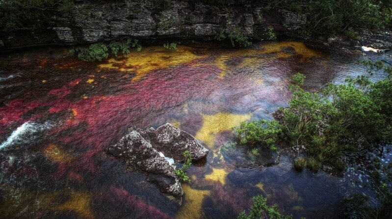 Каньо-Кристалес: фоторепортаж о самой красивой реке в мире Колумбия,Латинская Америка,реки