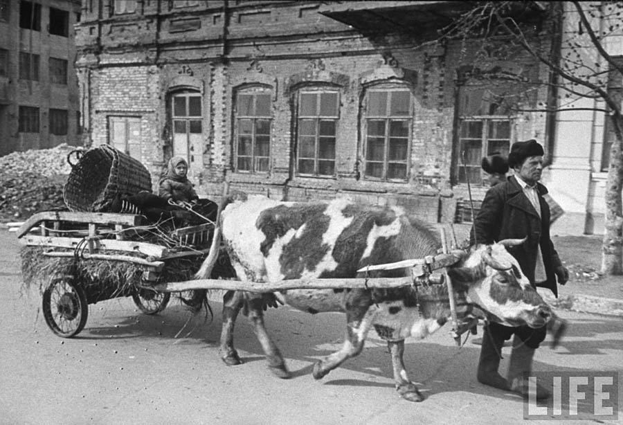 Сталинград. 1943, 1947 и 1952 года