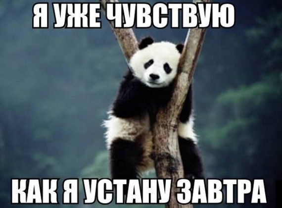 Новые смешные картинки дня!