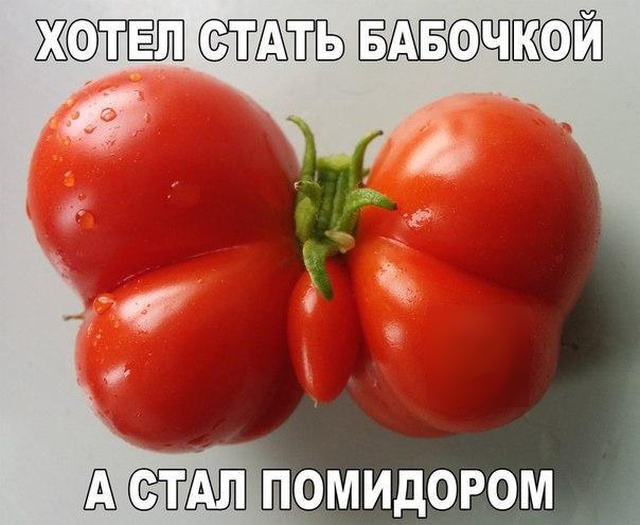 Подборка картинок Подборка картинок