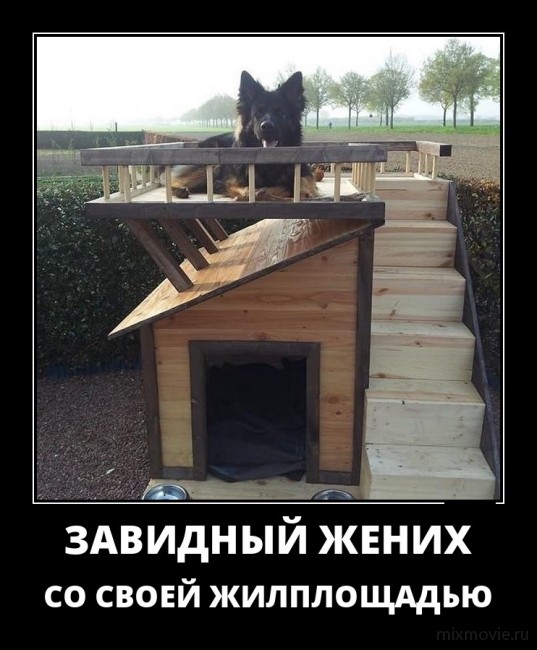 Прикольные и веселые демотиваторы из нашей жизни Прикольные и веселые демотиваторы из нашей жизни демотиваторы свежие,смешные демотиваторы,юмор