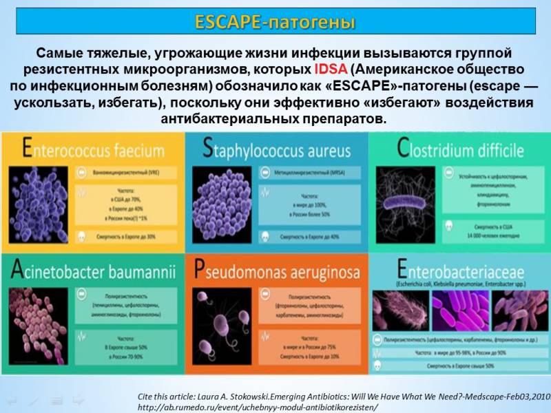 Точка зрения специалиста: коронавирус — не самое страшное геополитика