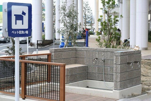 Тем временем в Азии… Тем временем в Азии…