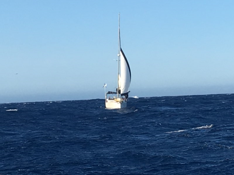 Джинсы спасли немцу жизнь в море 