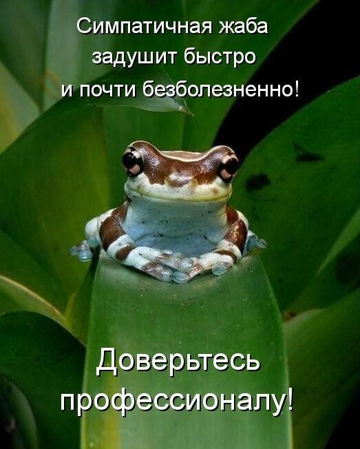 Сема! Сема, куда ты берешь уже третью порцию мороженого для этой прожорливой мадамы?!